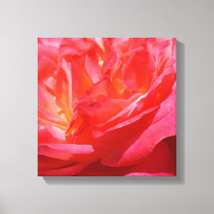 Red Pink Canvas Art prints Roses Flowers
