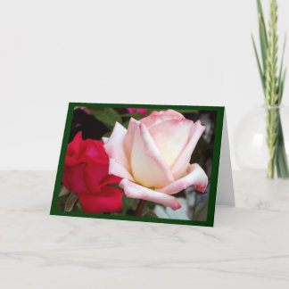 Red Pink Roses Note Cards