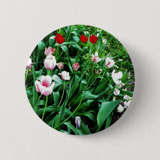 Red & Pink Tulips Pictures 6 Cm Round Badge
