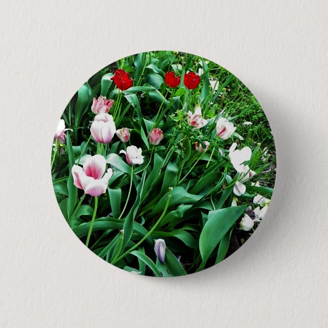 Red & Pink Tulips Pictures 6 Cm Round Badge (Front)