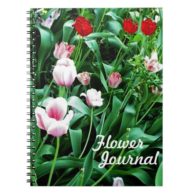 Red & Pink Tulips Pictures Spiral Notebook (Front)