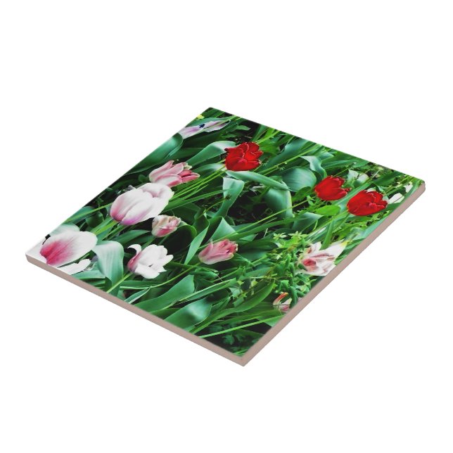 Red & Pink Tulips Pictures Spoon Rest Tile (Side)