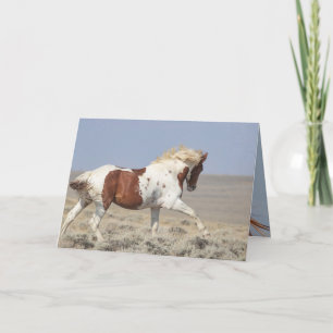 Red Pinto Stallion Leaps Wild Horse Greeting Card