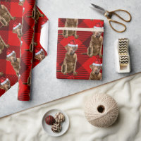 Red Plaid Chesapeake Retriever Santa Dog Christmas