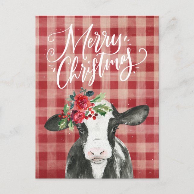 Red Plaid Christmas Cow Holiday Postcard (Front)