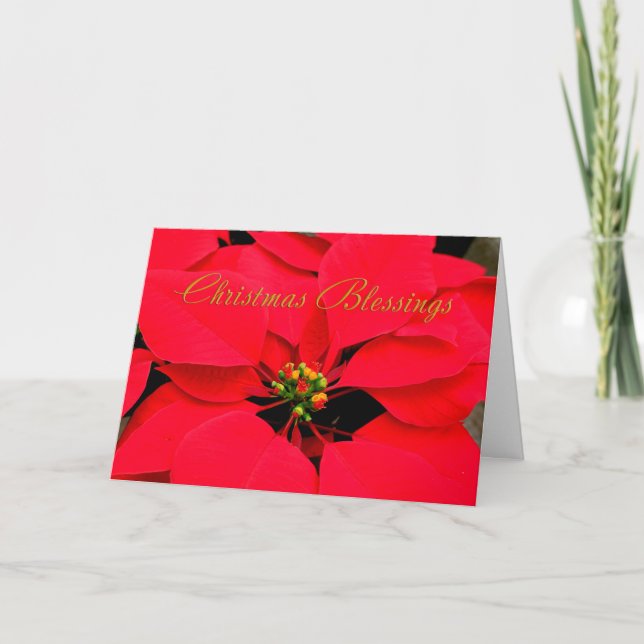 Red Poinsettia Christmas Holiday Card (Front)