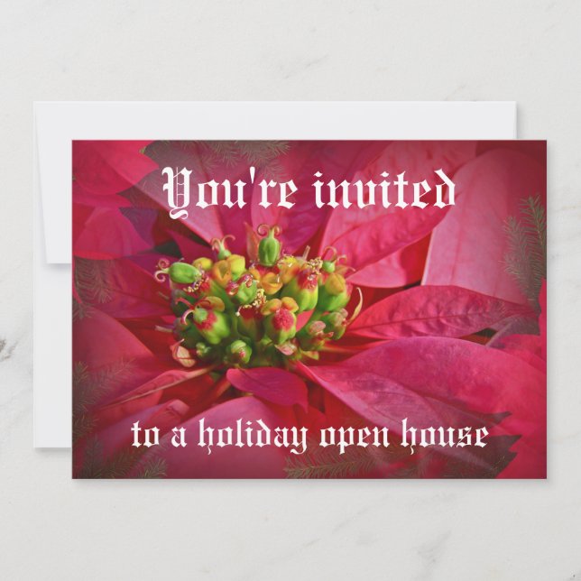 Red Poinsettia - Christmas Invitation (Front)