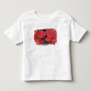 Red Poinsettia Detail (Euphorbia pulcherrima) Toddler T-Shirt