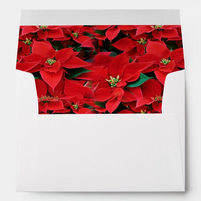 Red Poinsettia Holiday Envelope (Back (Bottom))