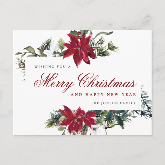 Red Poinsettia Holly Christmas Greeting Holiday Postcard (Front)