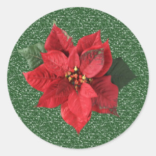 Red Poinsettia on green Christmas Sticker