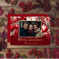 Red Poinsettia One Photo