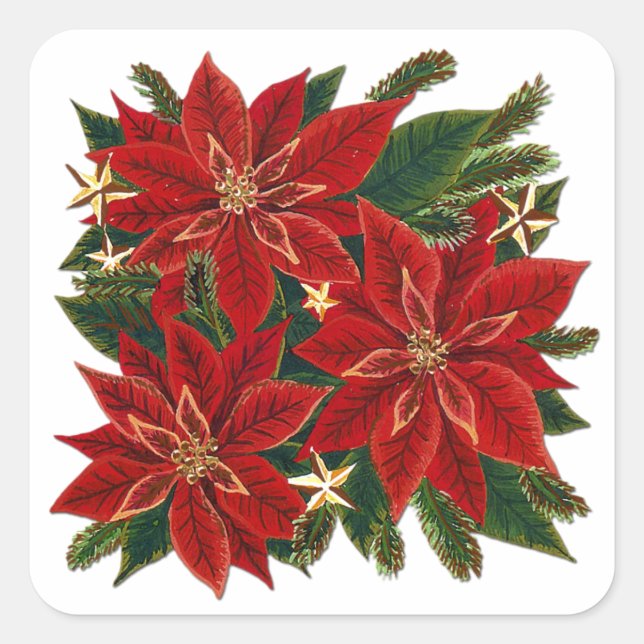 Red Poinsettia Sticker (Front)