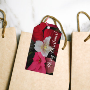 Red Poinsettias and Lady Slipper Orchid Holiday Gift Tags