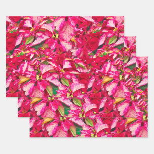 Red Poinsettias Christmas Floral Photography  Wrapping Paper Sheet