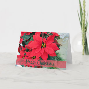 Red Poinsettias Christmas Greeting Card