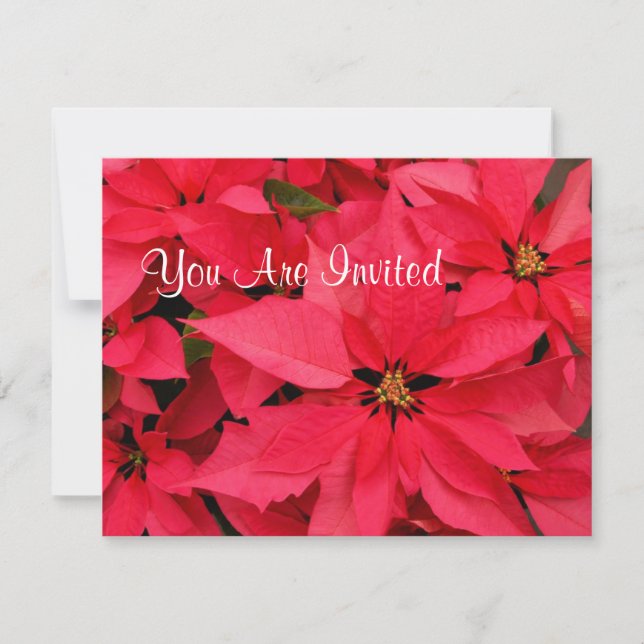 Red Poinsettias Christmas Holiday Invitations (Front)