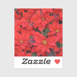 Red Poinsettias I Christmas Holiday Floral Photo