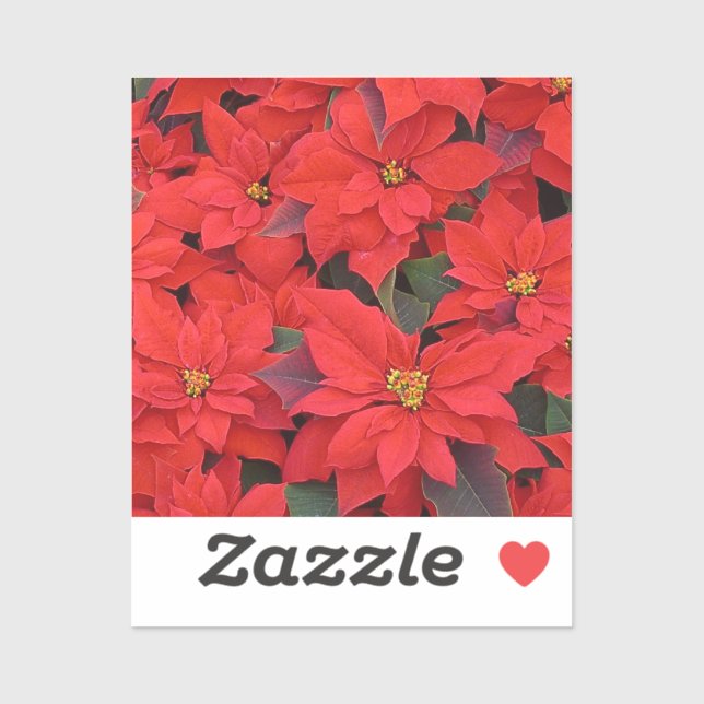 Red Poinsettias I Christmas Holiday Floral Photo (Sheet)