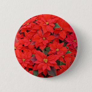 Red Poinsettias I Christmas Holiday Floral Photo 6 Cm Round Badge