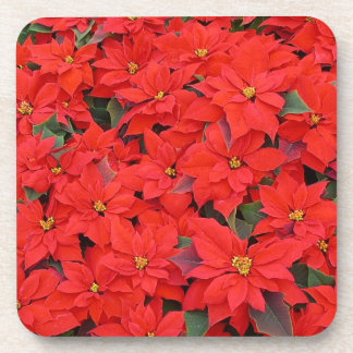 Red Poinsettias I Christmas Holiday Floral Photo Coaster