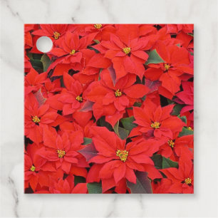 Red Poinsettias I Christmas Holiday Floral Photo Favour Tags