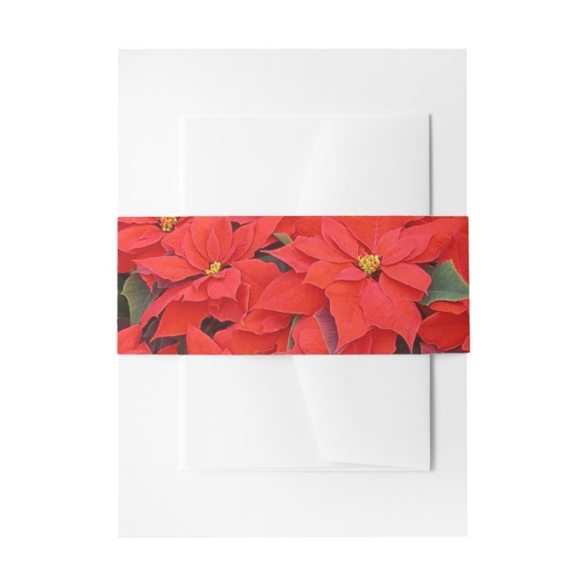Red Poinsettias I Christmas Holiday Floral Photo Invitation Belly Band (Front Example)