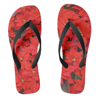 Red Poinsettias I Christmas Holiday Floral Photo Jandals