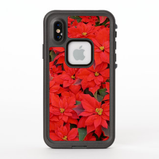 Red Poinsettias I Christmas Holiday Floral Photo