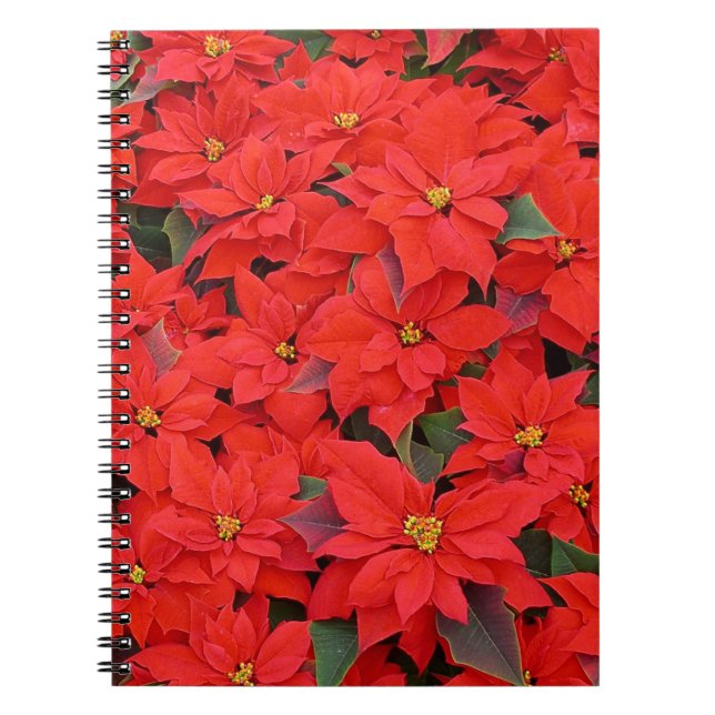 Red Poinsettias I Christmas Holiday Floral Photo Notebook (Front)