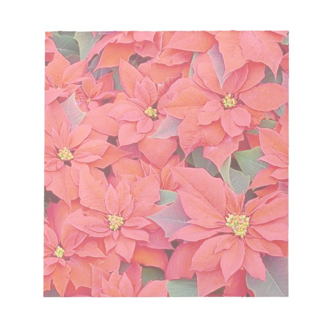 Red Poinsettias I Christmas Holiday Floral Photo Notepad (Front)