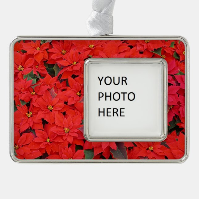 Red Poinsettias I Christmas Holiday Floral Photo Silver Plated Framed Ornament (Front)