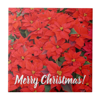Red Poinsettias I Christmas Holiday Floral Photo Tile
