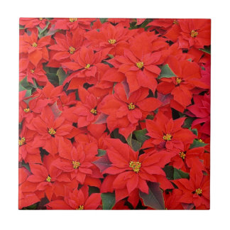 Red Poinsettias I Christmas Holiday Floral Photo Tile