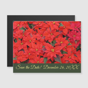 Red Poinsettias I Christmas Holiday Save the Date  Magnetic Invitation