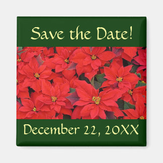 Red Poinsettias I Save the Date Magnet