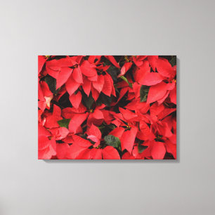 Red Poinsettias II Christmas Holiday Floral Canvas Print