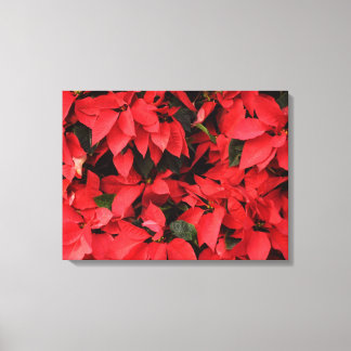 Red Poinsettias II Christmas Holiday Floral Canvas Print