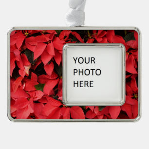 Red Poinsettias II Christmas Holiday Floral Silver Plated Framed Ornament