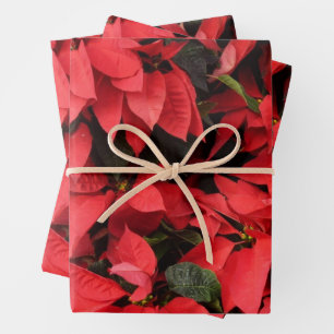 Red Poinsettias II Christmas Holiday Floral Wrapping Paper Sheet
