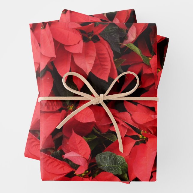 Red Poinsettias II Christmas Holiday Floral Wrapping Paper Sheet (In situ)