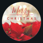Red Poinsettias Merry Christmas Bokeh Lights Classic Round Sticker<br><div class="desc">Stickers with a festive holiday photograph featuring a bouquet of red poinsettias along the bottom. Shimmering golden bokeh lights in the background. Classy sophisticated  style. Merry Christmas typography written in a trendy red font.</div>