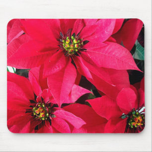 Red Poinsettias Mouse Pad
