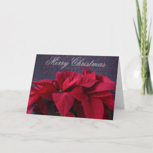 Red poinsettias on decorative background holiday card