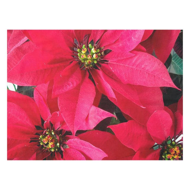 Red Poinsettias Tablecloth (Front (Horizontal))