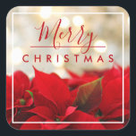 Red Poinsettias with Golden Bokeh Christmas Square Sticker<br><div class="desc">Stickers with a festive holiday photograph featuring a bouquet of red poinsettias along the bottom. Shimmering golden bokeh lights in the background. Classy sophisticated  style. Merry Christmas typography written in a trendy red font.</div>