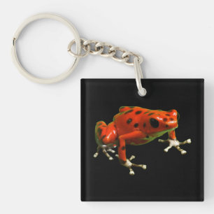 Red Poison Dart Frog Key Ring