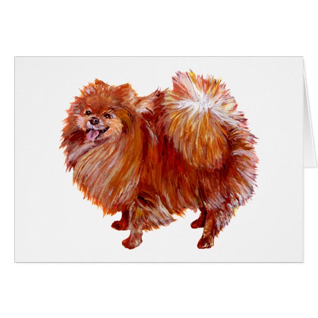 Red Pomeranian (Front Horizontal)