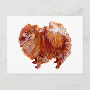 Red Pomeranian Postcard