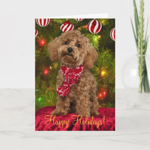 Red Poodle Christmas Card